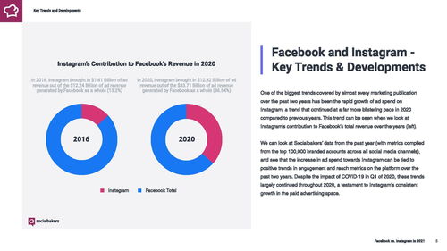2021年社交媒体营销报告 Facebook与Instagram的行业洞察与对比分析